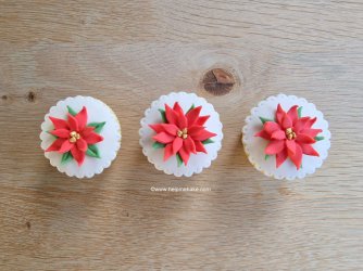 Poinsettia's by Help Me Bake (Medium).jpg