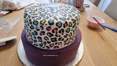 Leopard Print Edible Cake Wrap Review by Help Me Bake 2 (Medium).jpg