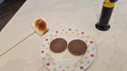 S'mores torching on a skewer by help me bake (Medium).jpg