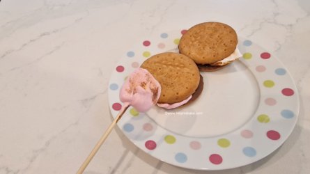 S'mores flattening the marshmallow and having some left by Help Me Bake (Medium).jpg