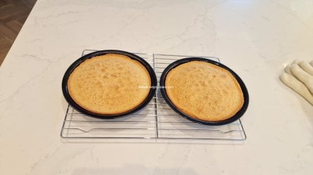 Half and Half Sponge by Help Me Bake 10 (Medium) (1).jpg