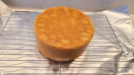 Madeira Golden Wholemeal Half and Half Cake 40 (Medium).jpg