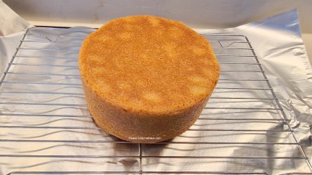 Madeira Golden Wholemeal Half and Half Cake 40 (Medium).jpg Madeira Golden Wholemeal Half and Half Cake 40 (Medium).jpg