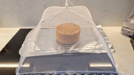 Madeira Golden Wholemeal Half and Half Cake 41 (Medium).jpg Madeira Golden Wholemeal Half and Half Cake 41 (Medium).jpg
