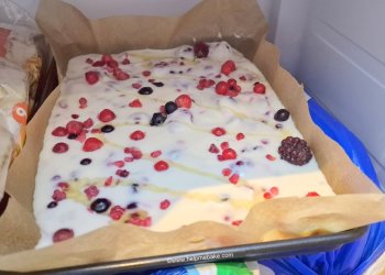 Frozen Summer Fruits Yoghurt Bark by Help Me Bake 12-001 (Medium).jpg Frozen Summer Fruits Yoghurt Bark by Help Me Bake 12-001 (Medium).jpg