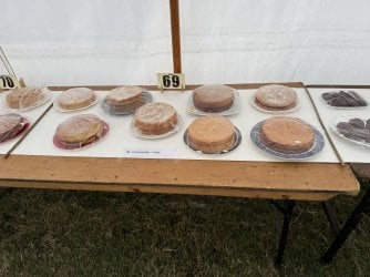 IMG_7446.jpeg