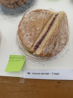IMG_7455.jpeg