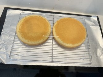 VS11 by Help Me Bake.JPG
