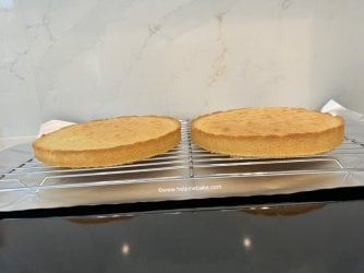VS12 by Help Me Bake.JPG