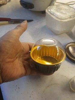 foilcup domelid.jpg