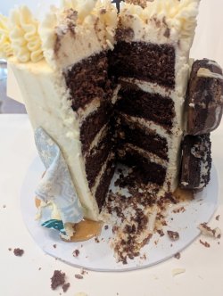 Jane Hubby Cake (Large).jpg