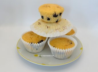 Choc Chip Cupcakes by Help Me Bake.JPG Choc Chip Cupcakes by Help Me Bake.JPG