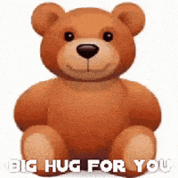 Big Hug GIF by memecandy