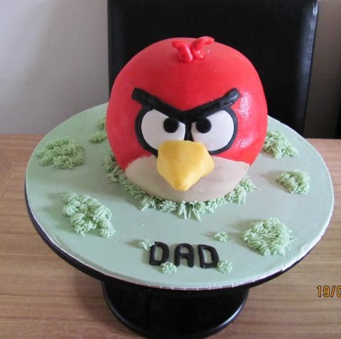 Angry-Birds-Cake-26-Copy-480x477.jpg