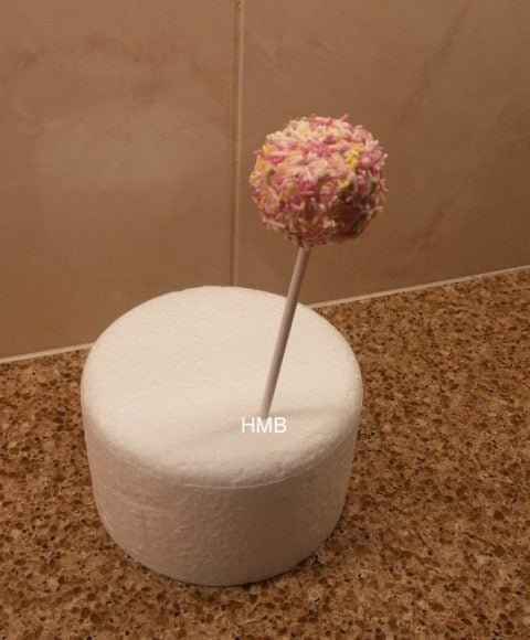 Cake-Pops-117-480x580.jpg