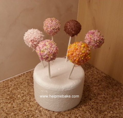 Cake-Pops4-480x460.jpg