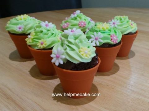 Flowerpot Cupcakes