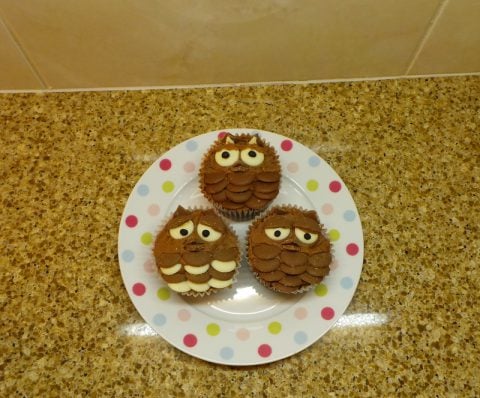 Owl-Cupcakes-Help-Me-Bake-480x398.jpg