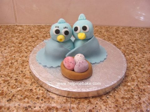 Bluebirds-480x360.jpg