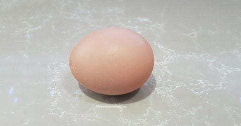 Eggs-480x251.jpg