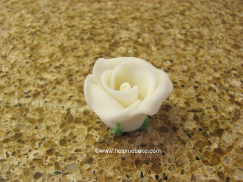 Rose-Edible-Flower-Help-Me-Bake-480x360.jpg