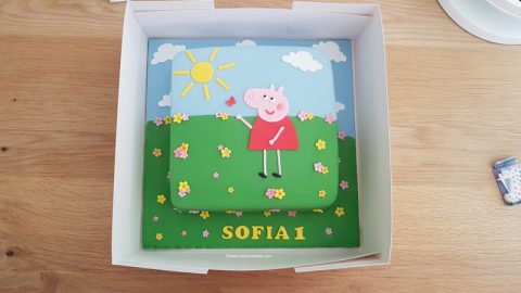 20-Peppa-Pig-Cake-by-Help-Me-Bake-480x270.jpg