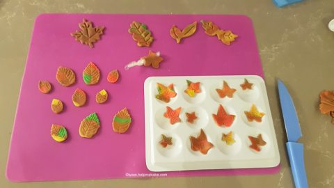 Autumn-Fall-Leaves-Help-Me-Bake-Tutorial-12-1-480x270.jpg