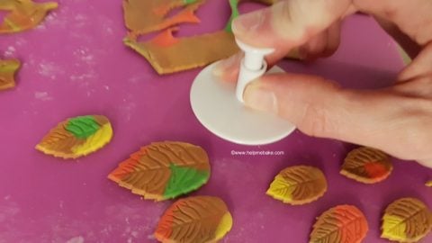 Autumn-Fall-Leaves-Help-Me-Bake-Tutorial-17-480x270.jpg