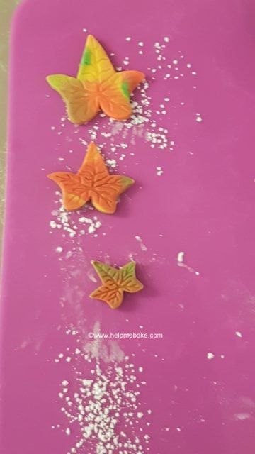 Autumn-Fall-Leaves-Help-Me-Bake-Tutorial-4-360x640.jpg