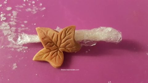 Autumn-Fall-Leaves-Help-Me-Bake-Tutorial-9-480x270.jpg