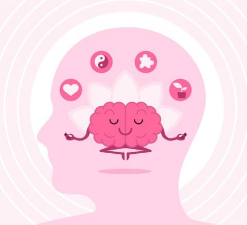 mindfulness-wellbeing-brain-480x439.jpg