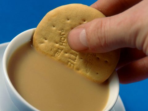 dunking-biscuits-480x360.jpg